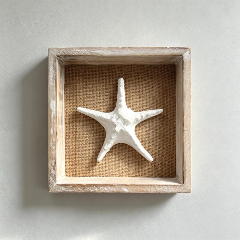 Coastal Starfish Shadow Box Wall Decor - Coastal (Summer) - life-deco.com