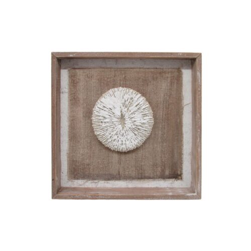 Coastal 3D Coral Shadow Box Wall Art - Coastal (Summer) -...