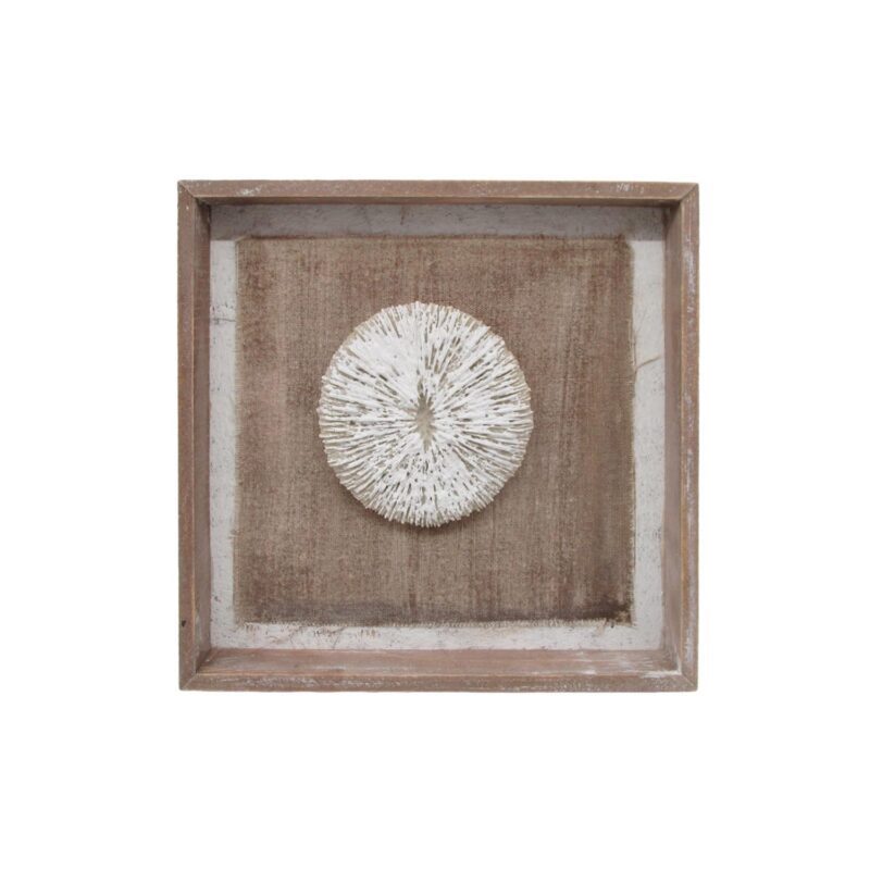 Coastal 3D Coral Shadow Box Wall Art - Coastal (Summer) - life-deco.com