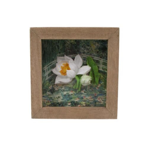 Cadre 3D « White-Lotus » de type « shadow-box » - Décoration de jardin - lif...