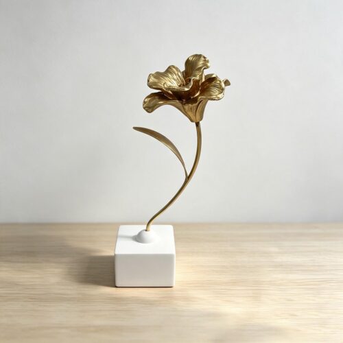 Home Accessories