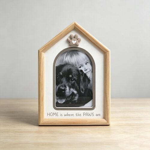 Pet Decor