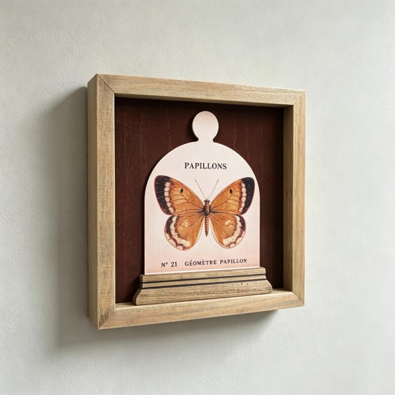 Wooden Framed Butterfly Wall Art - Garden Décor - life-d...