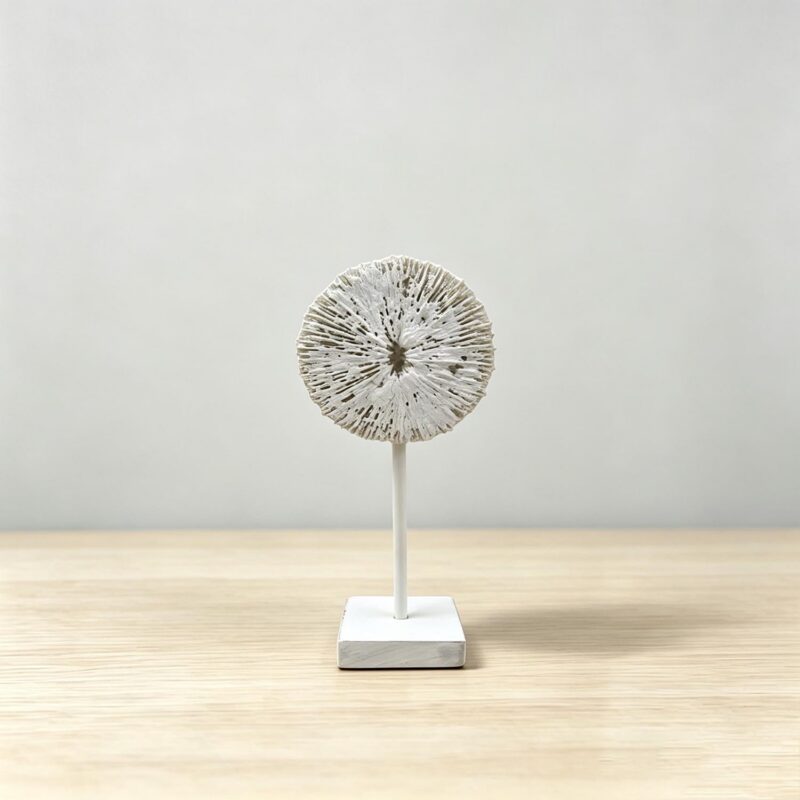 Wooden Decor - Coastal (Summer) - life-deco.com