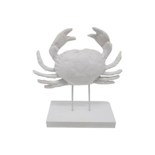 Wooden Decor - Coastal (Summer) - life-deco.com
