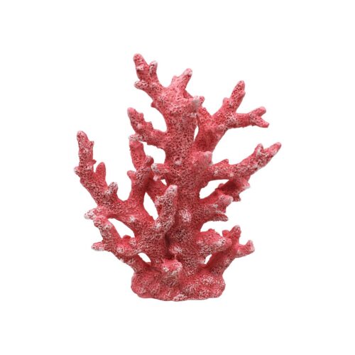 Coral Decor - Coastal (Summer) - life-deco.com