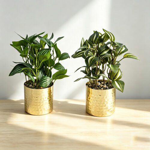 Artificial Plants