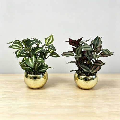 Home Accessories
