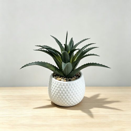 Home Accessories