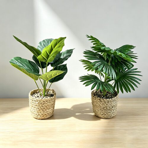 Home Accessories