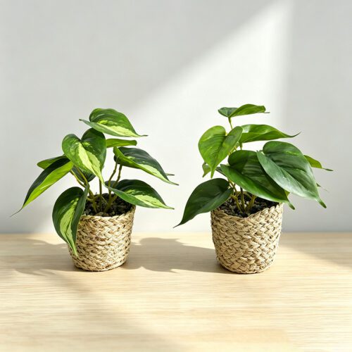 Artificial Plants