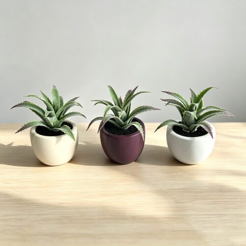 Artificial Plants