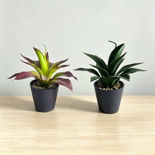 Home Accessories