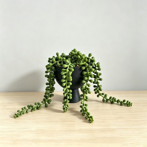 Plantas artificiales
