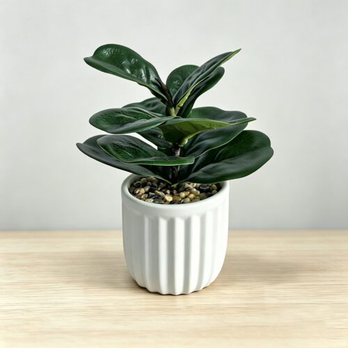Home Accessories