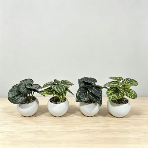 Artificial Plants