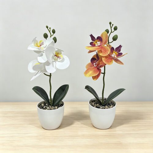Home Accessories