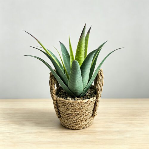 Plantes artificielles
