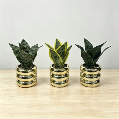 Kunstplanten