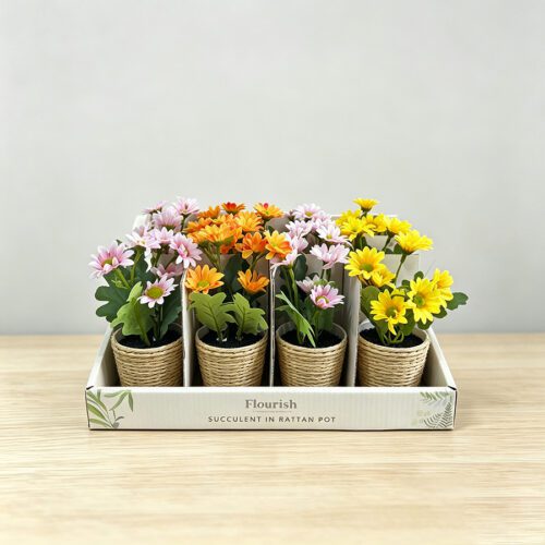 Home Accessories