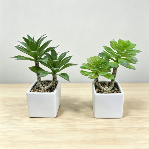 Piante artificiali
