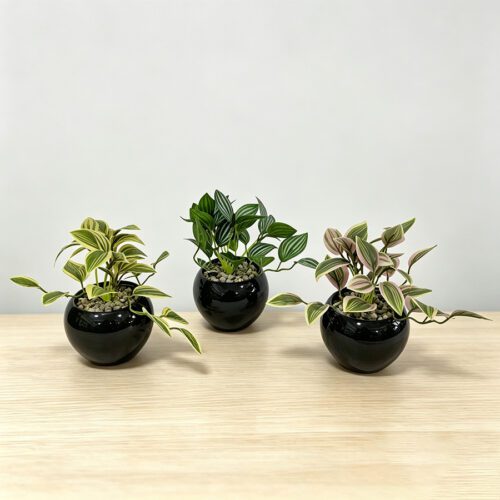 Artificial Plants
