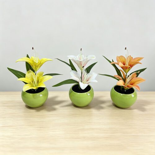 Home Accessories
