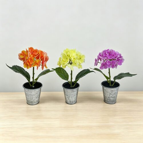 Home Accessories
