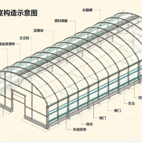 Multi‑span Film Greenhouse - Agricultural Facilities - bochenagrimachinery.com