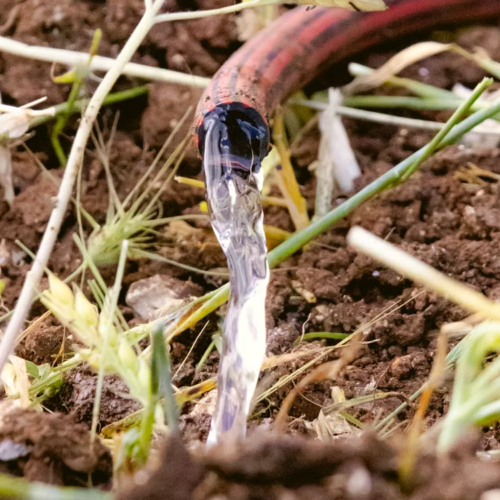 HDPE Coil Irrigation Pipe - Irrigation Accessories - bochenagrimachinery.com