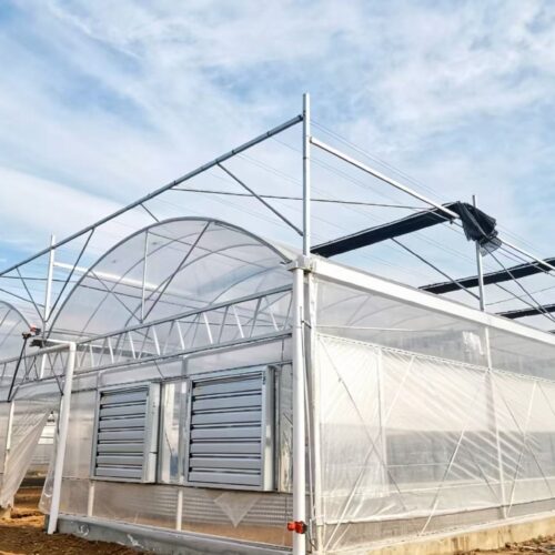 Multi‑span Film Greenhouse - Agricultural Facilities - bochenagrimachinery.com