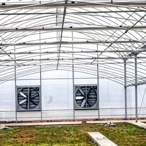 Multi‑span Film Greenhouse - Agricultural Facilities - bochenagrimachinery.com