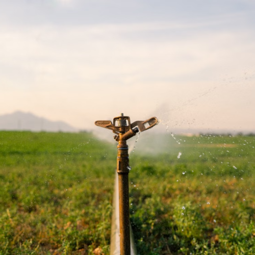 Rain Gun Sprinkler - Irrigation Accessories - bochenagrimachinery.com