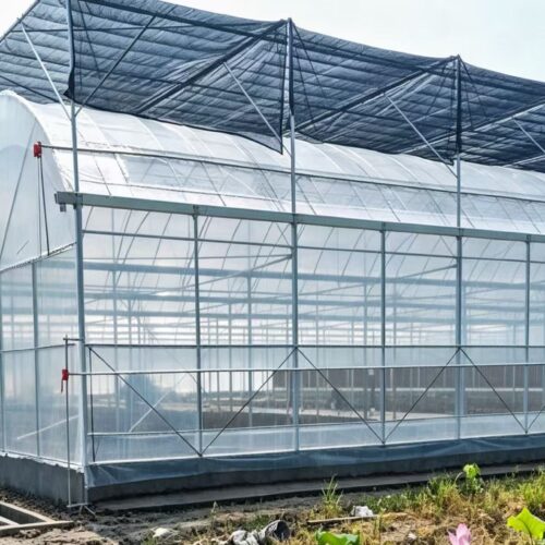 Multi‑span Film Greenhouse - Agricultural Facilities - bochenagrimachinery.com