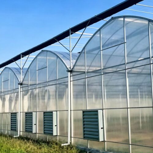 Multi‑span Film Greenhouse - Agricultural Facilities - bochenagrimachinery.com