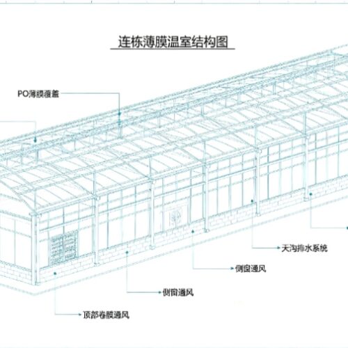 Multi‑span Film Greenhouse - Agricultural Facilities - bochenagrimachinery.com