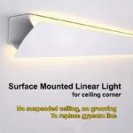 Ceiling Light