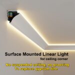 Ceiling Light