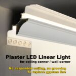 Ceiling Light