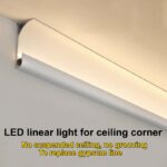 Ceiling Light