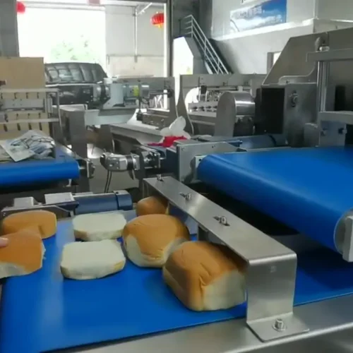 Burger bun slicer production line blue conveyor stainless steel factory bread buns