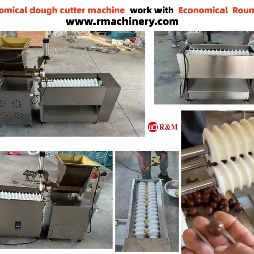 Economical dough cutter machine work with economical rounder — R&M budget line