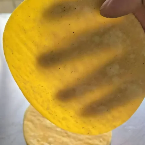cooked corn tortillas from R&M tortilla production line held to the light