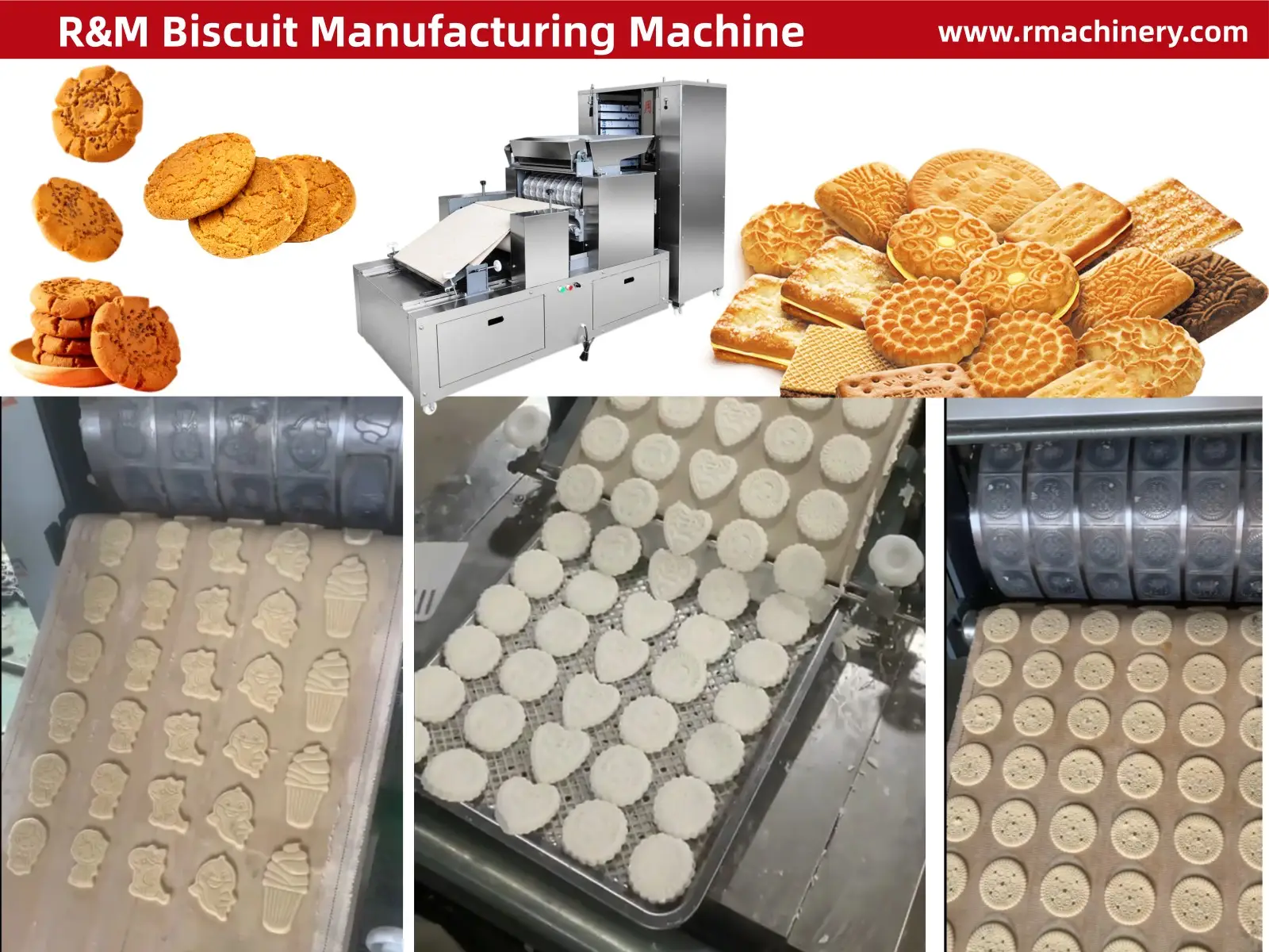 R&M automatic biscuit press machine rotary moulder for shortbread butter biscuits