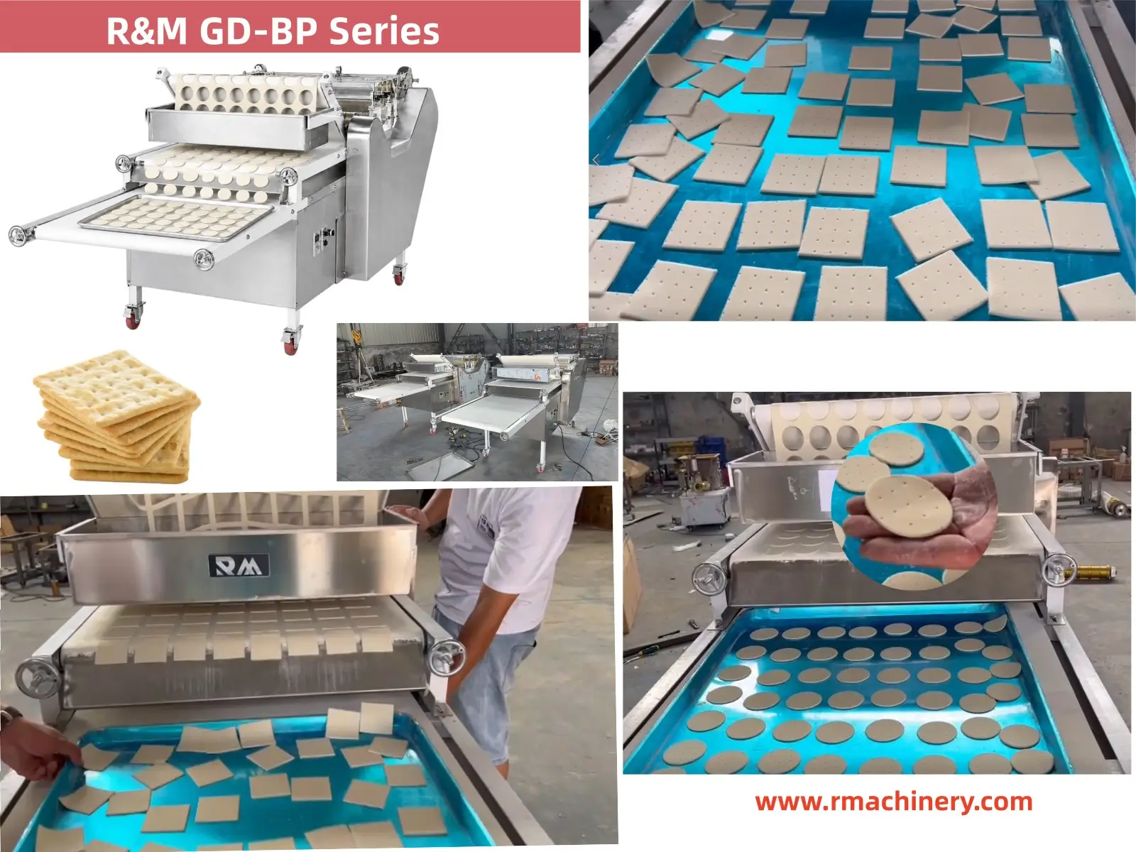 R&M GD-BP series automatic biscuit maker machine for crackers soda biscuits and hard sweet biscuits